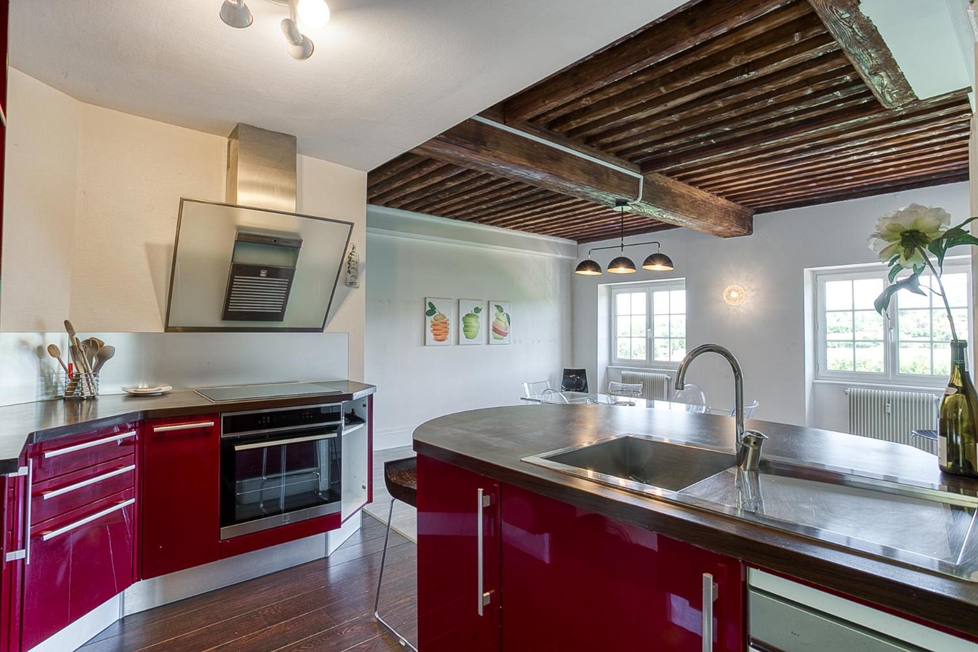 Sejourner Au Chateau De La Roue Grand Appartement Lissieu Luaran gambar