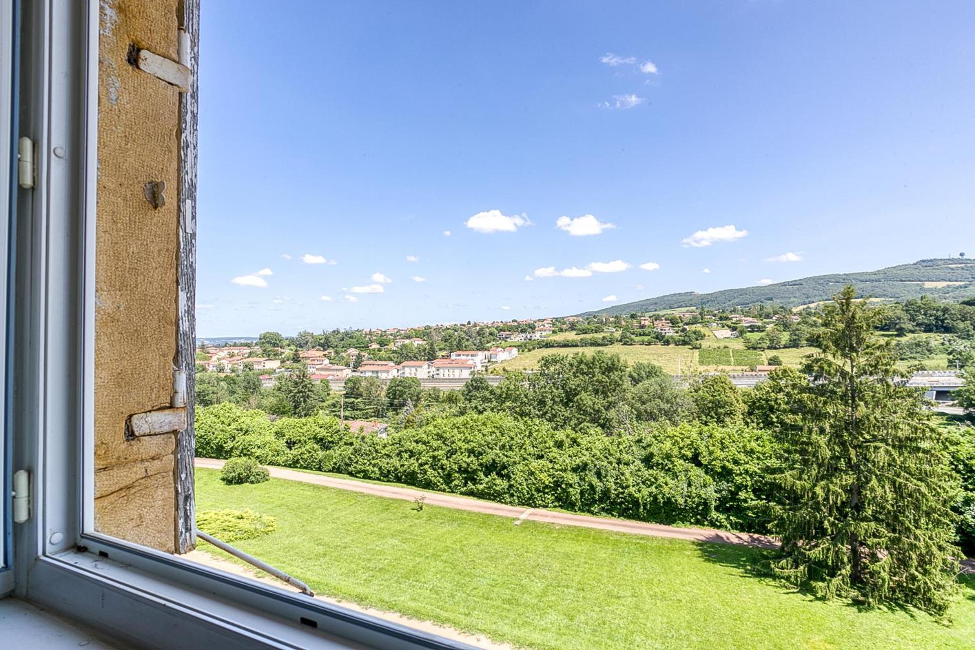 Sejourner Au Chateau De La Roue Grand Appartement Lissieu Luaran gambar