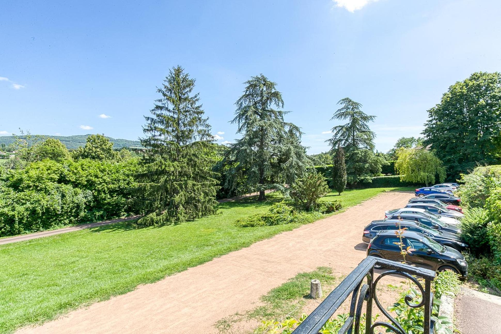 Sejourner Au Chateau De La Roue Grand Appartement Lissieu Luaran gambar