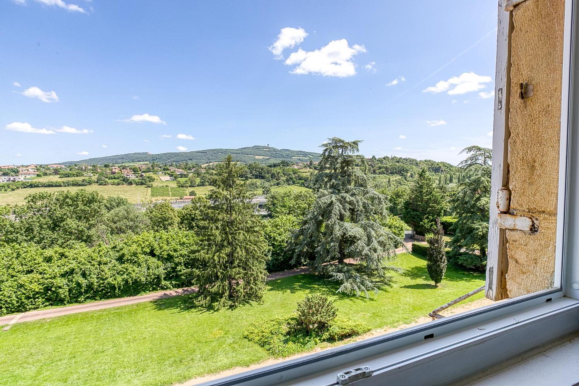 Sejourner Au Chateau De La Roue Grand Appartement Lissieu Luaran gambar