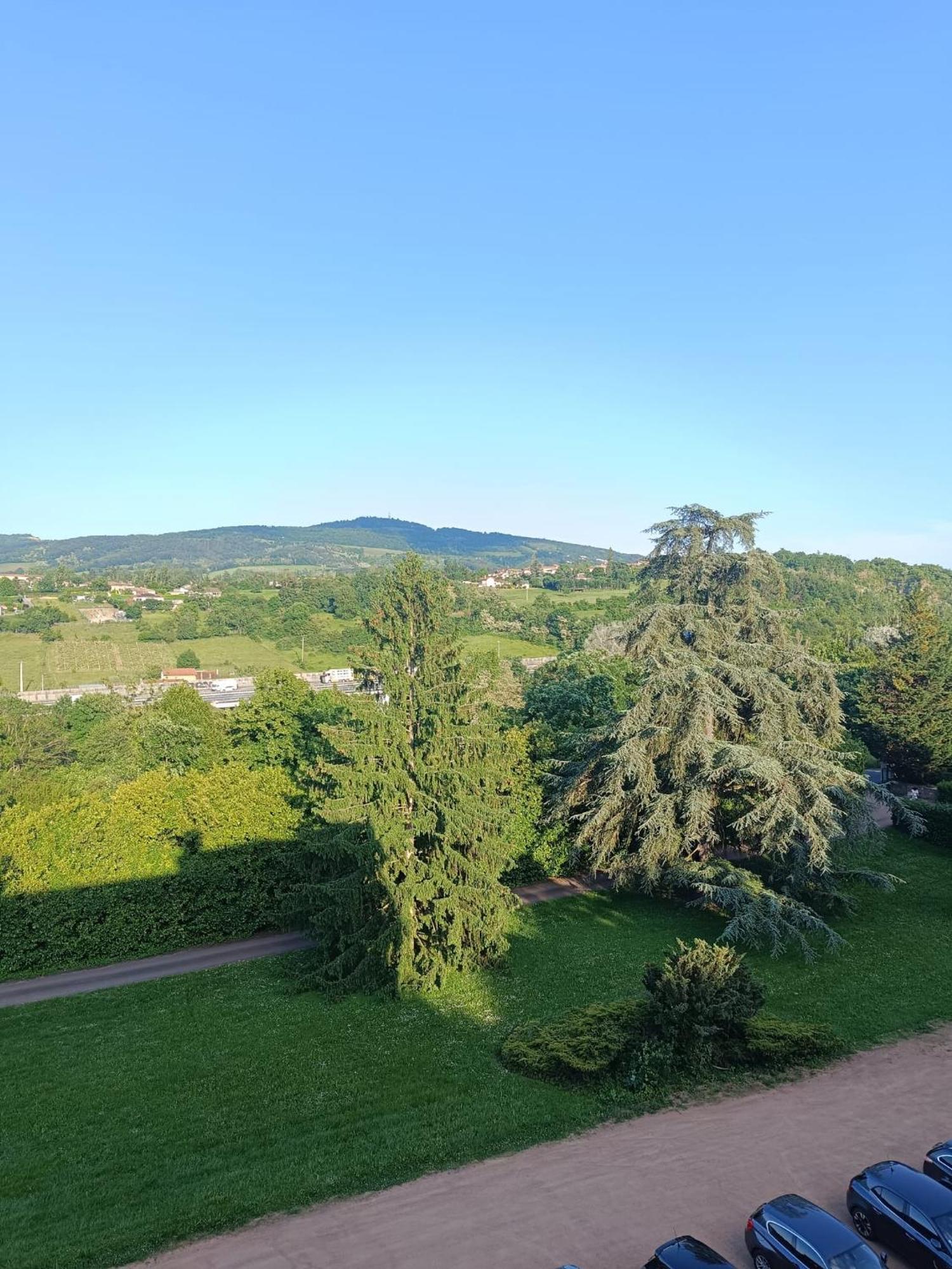 Sejourner Au Chateau De La Roue Grand Appartement Lissieu Luaran gambar