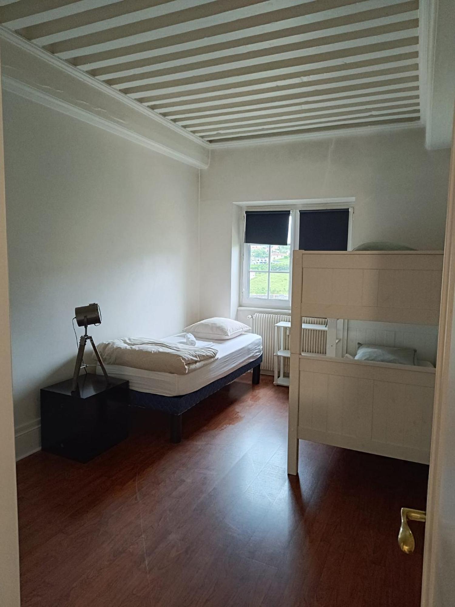 Sejourner Au Chateau De La Roue Grand Appartement Lissieu Luaran gambar